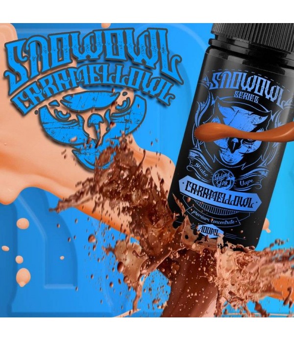 SNOWOWL Caramell Owl Aroma 15 ml online günstig kaufen